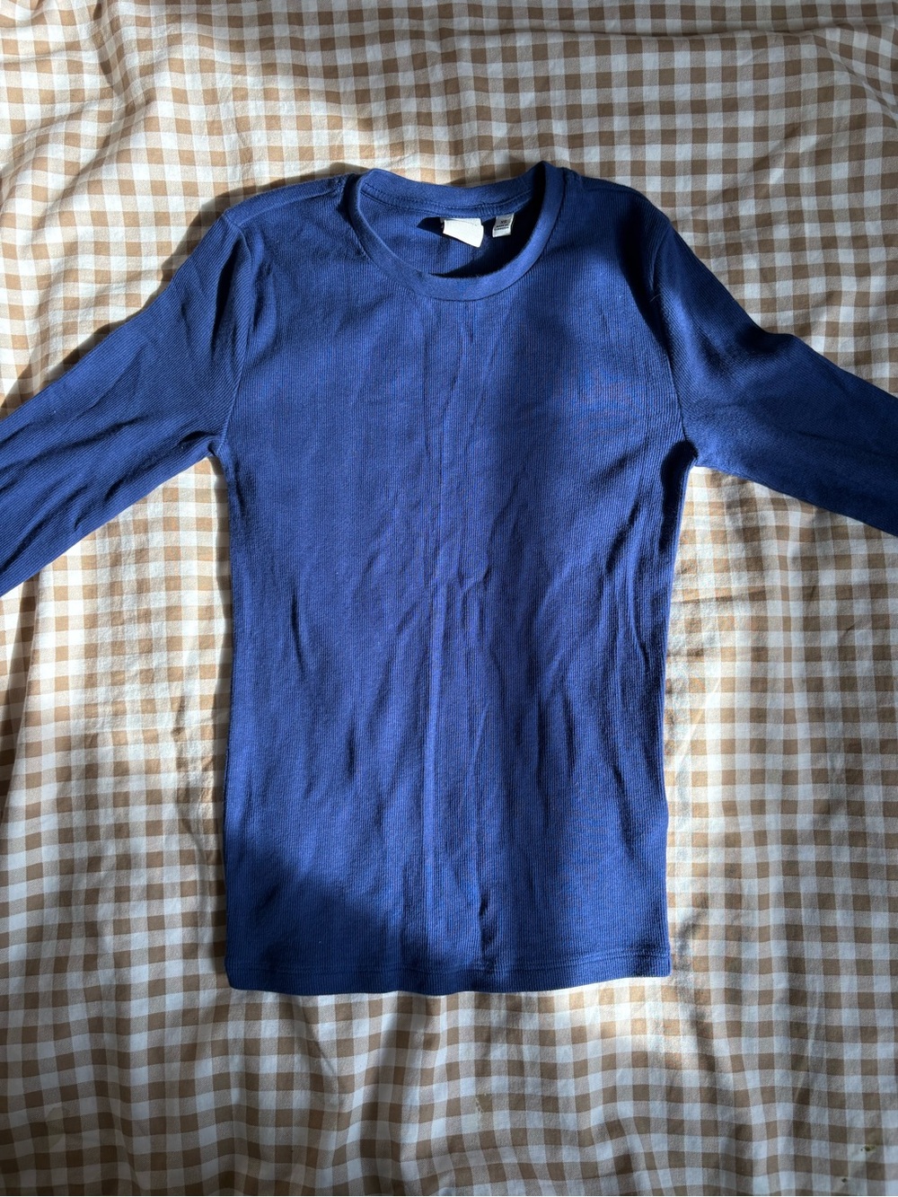 Aritzia Homestretch Long Sleeve- Byron Blue